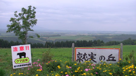 最高の景色です。