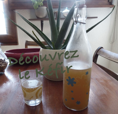 Une boisson riche en probiotiques à faire soi-même