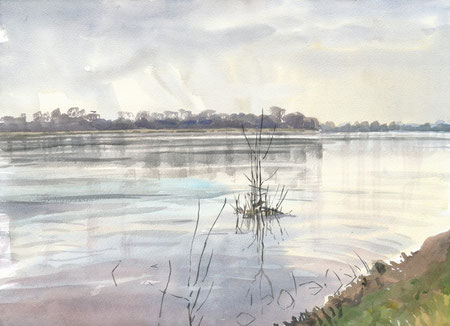 La Loire (Maine-et-Loire, mars 2015)