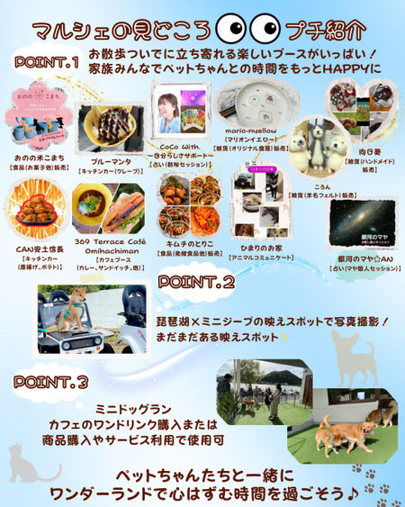 滋賀県　近江八幡市　マルシェ　イベント　出店　屋内　ペット同伴ＯＫ　あすわ　銀河のマヤ　マヤ個人セッション　お試しセッション