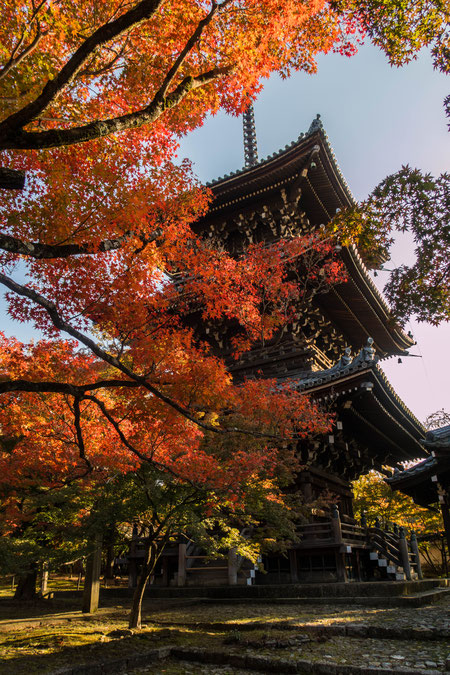 京都・真如堂紅葉　塔