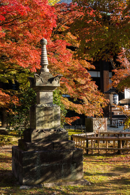 京都・真如堂紅葉