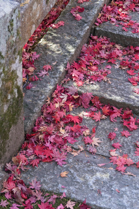 京都亀岡・鍬山神社の紅葉