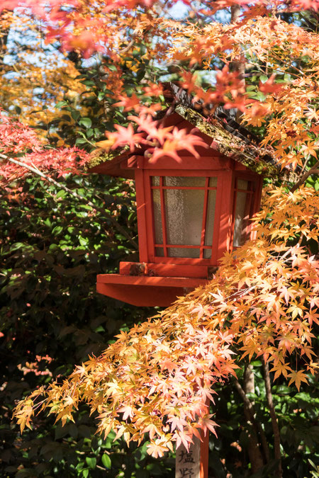 京都亀岡・鍬山神社の紅葉