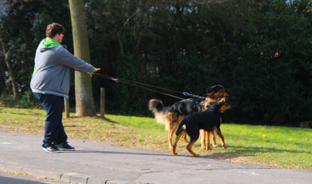 Hunde gehen mit Herrchen Gassi - hier in Neunkirchen