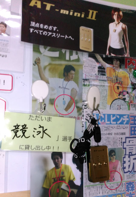 肩関節の痛み　姿勢　肩甲骨　肩甲骨痛み　背中の痛み　野球肩の原因　野球肩原因　野球肩治し方　野球肩体操　野球肩ストレッチ　野球　野球肩　肩が痛い　ピッチャー　リトルリーガーズショルダー　腱板損傷　投球傷害　水泳　競泳　腰痛　分離症　分離すべり症　水泳肩スイマーズショルダー　水泳肩　スイマーズショルダー治療　スイマーズショルダー治るのか　岐阜　岐阜市　岐阜市茜部　岐阜市東鶉　岐阜市南鶉　岐阜市中鶉　岐阜市柳津町　羽島市　羽島郡　笠松町　岐南町　茜部　鶉　東鶉　中鶉　南鶉　柳津　笠松　