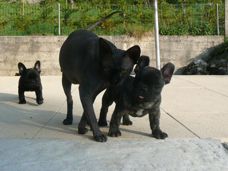 F'Roki, Perry & Fanny, 9 mai