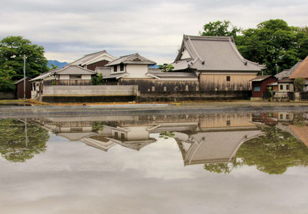 水田に写る専明寺　西よりの全景