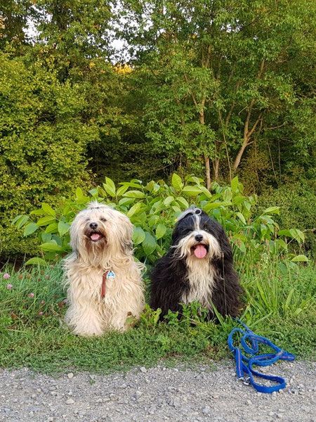 Fiönchen und Söhnchen Mihu on Tour