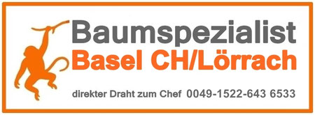 Die Besten!!! Baumspezialist-Loerrach-Basel