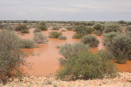 Outback unter Wasser