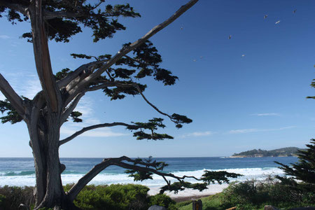 Der Strand von Carmel-by-the-sea