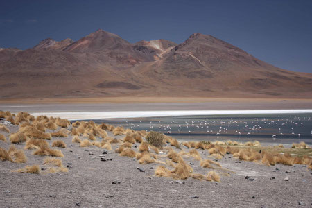 Laguna Cañapa