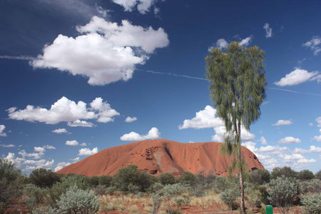 Der heilige Berg