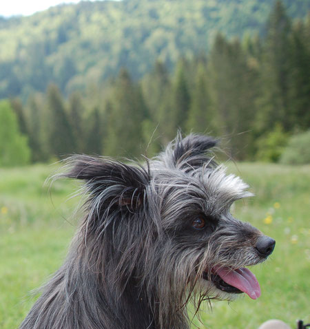 28.5.12 jetzt folgen viele Bilder von drei herrlichen Tagen in Bernau