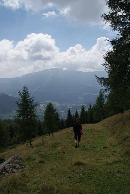 Beim Abstieg der Blick nach Süden zur Gerlitzen