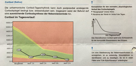 Cortisol Verlauf