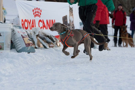 15.01.2011.Kamparkalns