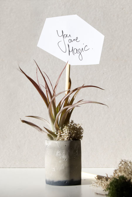 You Are Magic Free Printable by PASiNGA Concrete Chimney Air Plant Holder Valentines Day Gift Idea