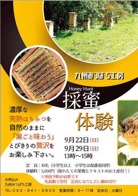 採蜜体験 - 日本みつばち工房