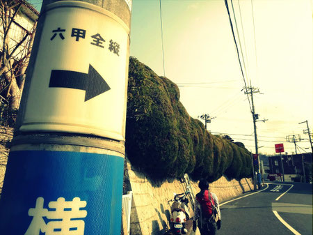 市街地での道迷いは心配なし