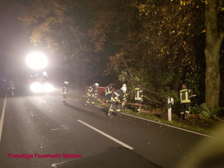 Foto: Freiwillige Feuerwehr Merzen