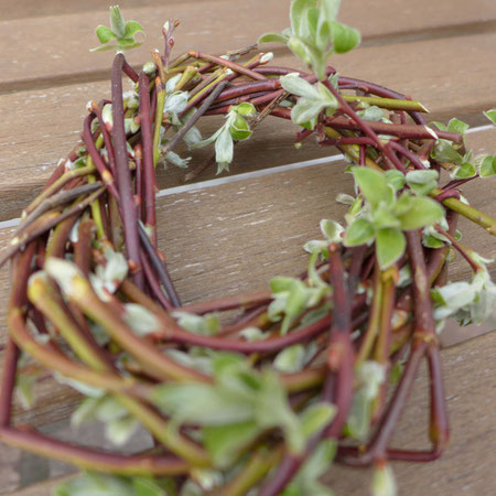 Garten - Nisthilfe oder Vogelnest aus Weide bauen - DIY-Projekt