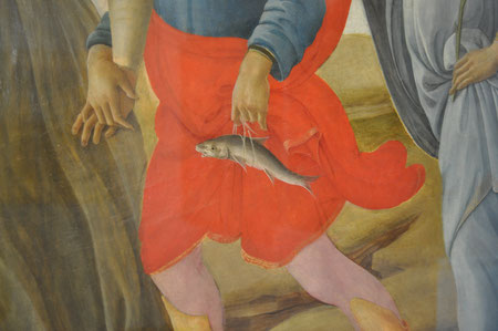 Filippino Lippi - Galleria Sabauda à Turin