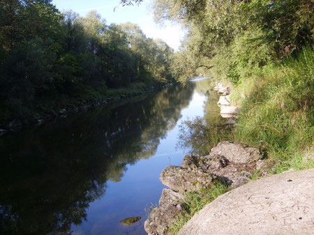 Saugstelle Flussaufwärts