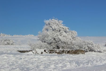 Einzigartige Winterlandschaft