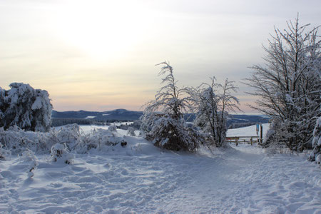 Herrliche Wanderwege, Langlauf, Rodelbahnen und vor allem Ski Abfahrten in der Rhön.