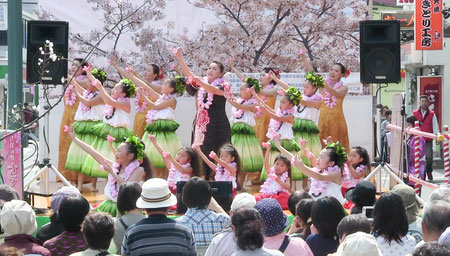 さがみ野さくらまつり2014　花は咲く