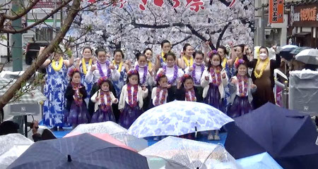 コロナ禍３年ぶりのさくらまつり、祝福の雨の中で笑顔で踊る