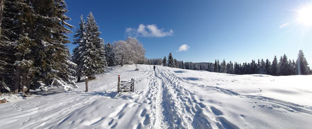 Winterlandschaft Sommeralm Almenland © Christa Pollhamme