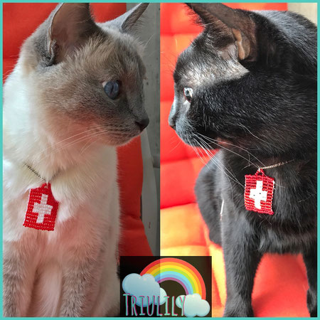 Lily e Daisy indossano una catenella con la bandiera svizzera