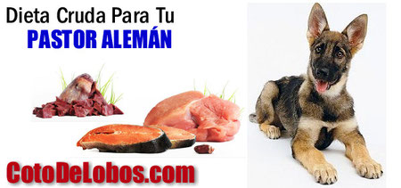 Pinche en la imagen.