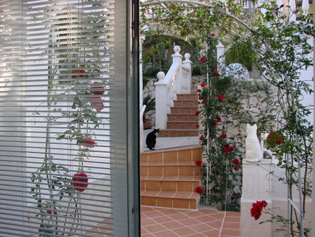 Blick aus dem Wohnzimmer