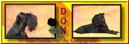 Hier gehts lang zum hübschen Don & seinem netten Frauchen Evelyn.Eine sehr liebevoll,gestaltete Homepage!