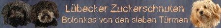 Hier gehts zu Angelika und Ihrer entzückenden Bolonka-Bande.Schaut doch mal rein, da warten auch nette Geschichten auf Euch!