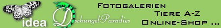 www.schmetterlingspark.de oder www.dschungelparadies.de