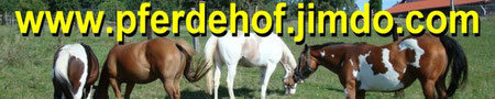 www.pferdehof.jimdo.com