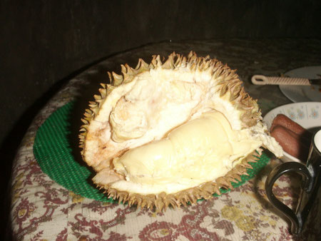 Durian      Diese Frucht gibt es nur in den Philippinen und ist eine Delikatesse. Man sagt sie riecht wie die Hoelle und schmeckt wie der Himmel...bei mir trat leider nur die Hoelle ein :)