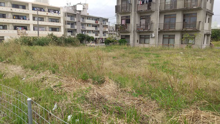 住宅街の中の空地