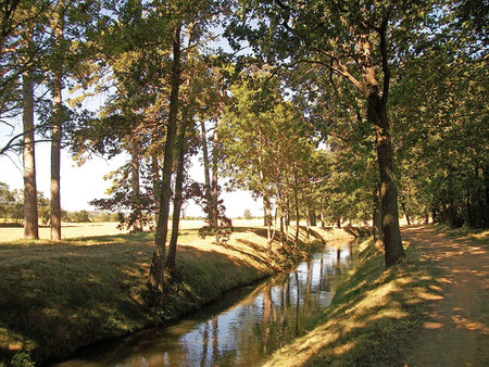 Les deux rives de la rigole deviennent insensiblement de même niveau. 400m après le passage sur le chemin de fer, nous sommes au seuil de Graissens - crédit photo : Gérard Crevon