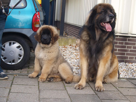 Papa und Sohn