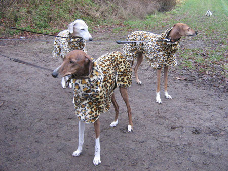 Winterspaziergang:Noél,Celiné,Djada