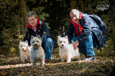 margrafs-westiess Webseite!