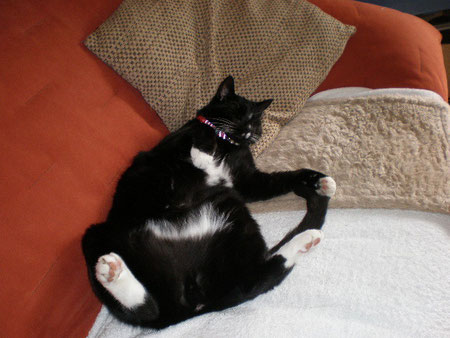 Ohne Worte. Tobi