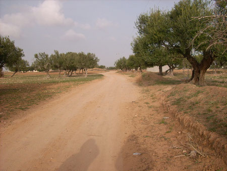 In einem Dorf auf Djerba