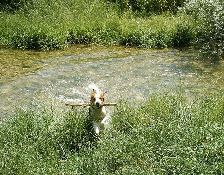 Malin am Bach